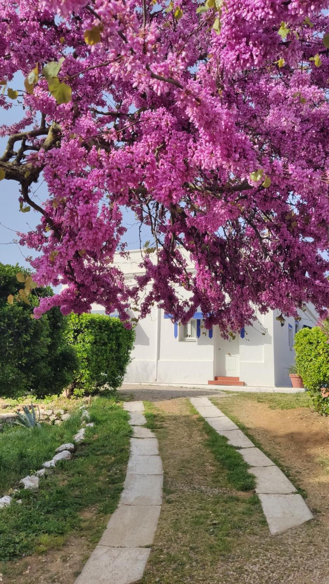 Hotel Casa Grande Константіна Екстер'єр фото